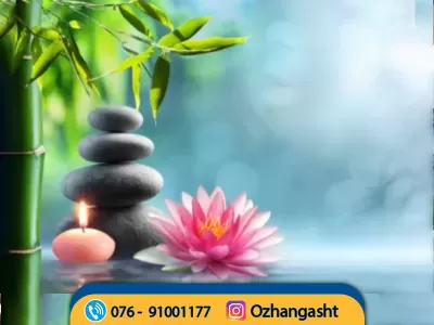 Massage centers and welfare services